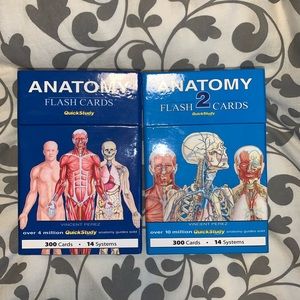 Anatomy Flashcards